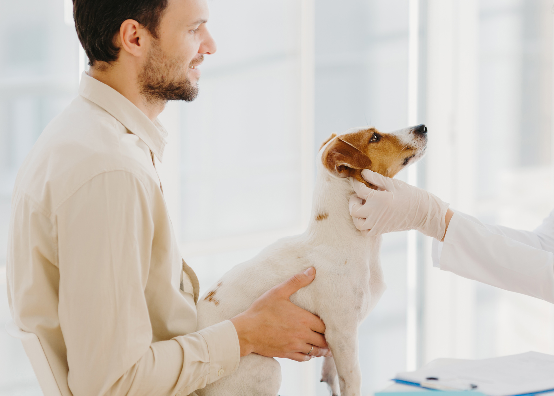 Opoil MedecineVeterinaireIntegrative Presentation