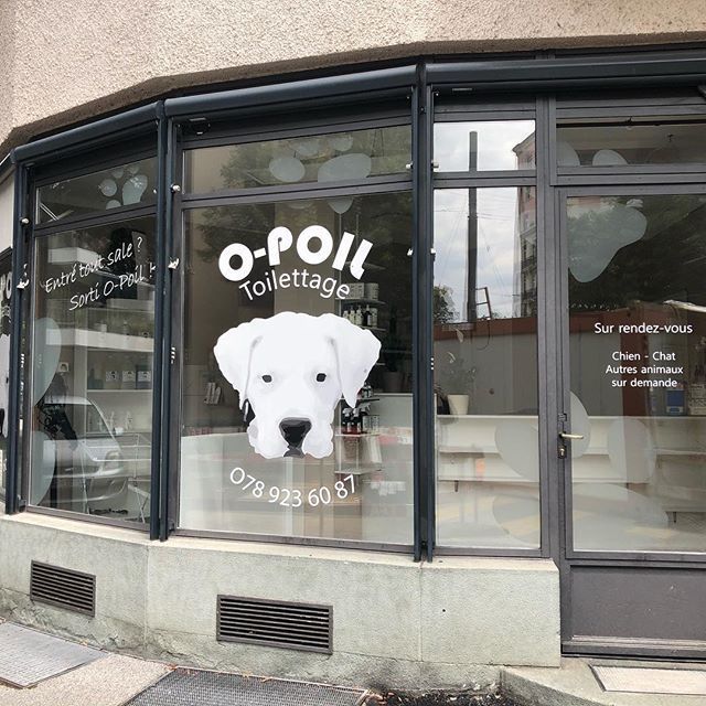 Opoil Salon Presentation